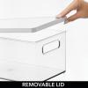 imagemDesign Plastic Storage Bin Box Container with Lid BuiltIn Handles Organization for Pens Pencils or Work Supplies in Home Office Cabinet or Desk Top Ligne Collection ClearWhite