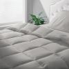 imagemDesign Twin AllSeason Down Alternative Comforter  Quilted Duvet Insert or StandAlone Comforter  Plush Microfiber Fill Box Stitched  Machine Washable  Gray