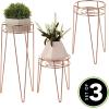 imagemDesign Metal IndoorOutdoor Plant Stands  Modern Plant Stand with Hairpin Legs for Flowers Plants Greenery Succulents Vases Pots Containers Concerto Collection Set of 3 Rose Gold