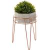 imagemDesign Metal IndoorOutdoor Plant Stands  Modern Plant Stand with Hairpin Legs for Flowers Plants Greenery Succulents Vases Pots Containers Concerto Collection Set of 3 Rose Gold
