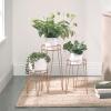 imagemDesign Metal IndoorOutdoor Plant Stands  Modern Plant Stand with Hairpin Legs for Flowers Plants Greenery Succulents Vases Pots Containers Concerto Collection Set of 3 Rose Gold