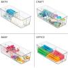 imagemDesign Plastic Kitchen Cabinet Storage Organizer Bin Box  6 Divided Sections for Pantry Shelves Countertops Island or Cupboard  Holds Snacks Tea Bags Spices Sauces Ligne Collection Clear1