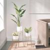 imagemDesign Steel Modern 9quot Plant Stand Planter Holder wHairpin Legs for Display Indoor Outdoor PlantFlower in Living Room Shelf Balcony Patio Garden Home Office  Concerto Collection  Soft BrassSoft Brass