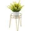 imagemDesign Steel Modern 9quot Plant Stand Planter Holder wHairpin Legs for Display Indoor Outdoor PlantFlower in Living Room Shelf Balcony Patio Garden Home Office  Concerto Collection  Soft BrassSoft Brass