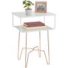 imagemDesign Steel Metal Modern Industrial SideEnd Table Nightstand with 2Tier Storage Shelf  Accent Furniture for Living Room Bedroom Office Dorm Room  Citi Collection  Matte WhiteRose Gold