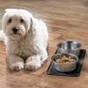imagemDesign Premium Quality Square Pet Food and Water Bowl Feeding Mat for Dogs and Cats Waterproof NonSlip Durable Silicone Placemat  Food Safe  Small Linelle Collection 2 Pack  Black