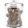 imagemDesign Tall Plastic Pet Storage Canister Jar with Lid  Holds DogPuppy Food Treats Toys Medical Dental and Grooming Supplies  Medium  6 Pack  Clear