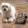 imagemDesign Premium Quality Square Pet Food and Water Bowl Feeding Mat for Dogs and Cats Waterproof NonSlip Durable Silicone Placemat  Food Safe  Small Linelle Collection  Espresso BrownEspresso Brown
