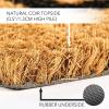 imagemDesign Rectangular Coir and Rubber Entryway Doormat with Natural Fibers for Indoor or Outdoor Use  Neutral Design  Stripe Border  Minimalistic NaturalBlackNatural Border